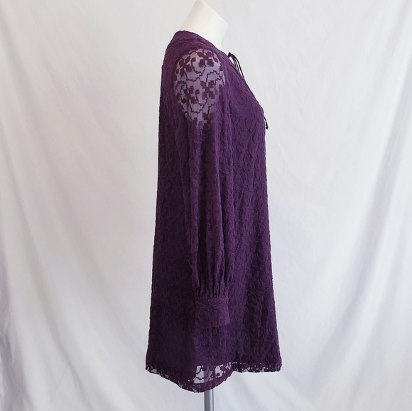 Tt Collection Silk Embroidered Long Sleeve Purple Dress Silk - Picture 5 of 11